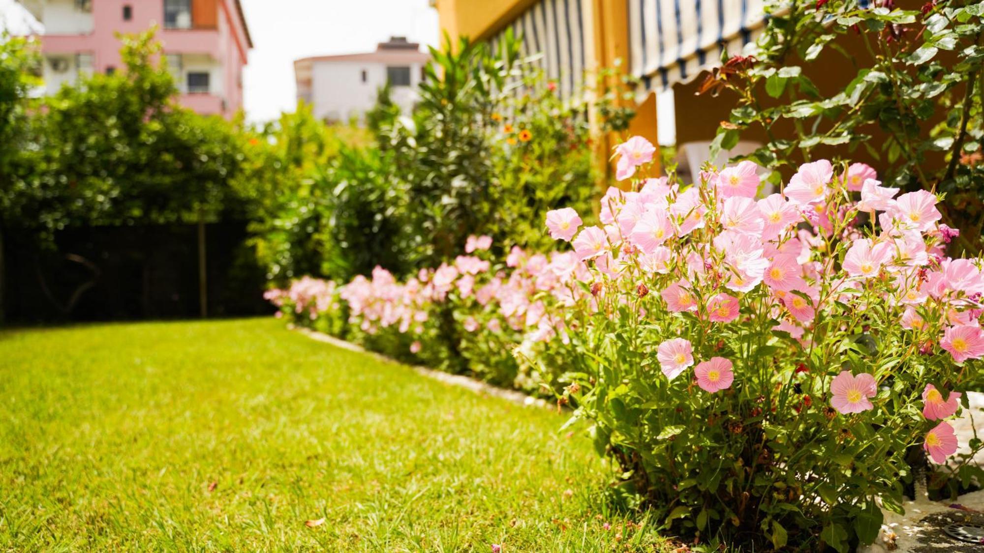 Vila Aliaj Luxury Apartment With 2 Rooms With Private Wonderful Terrace Durrës Extérieur photo